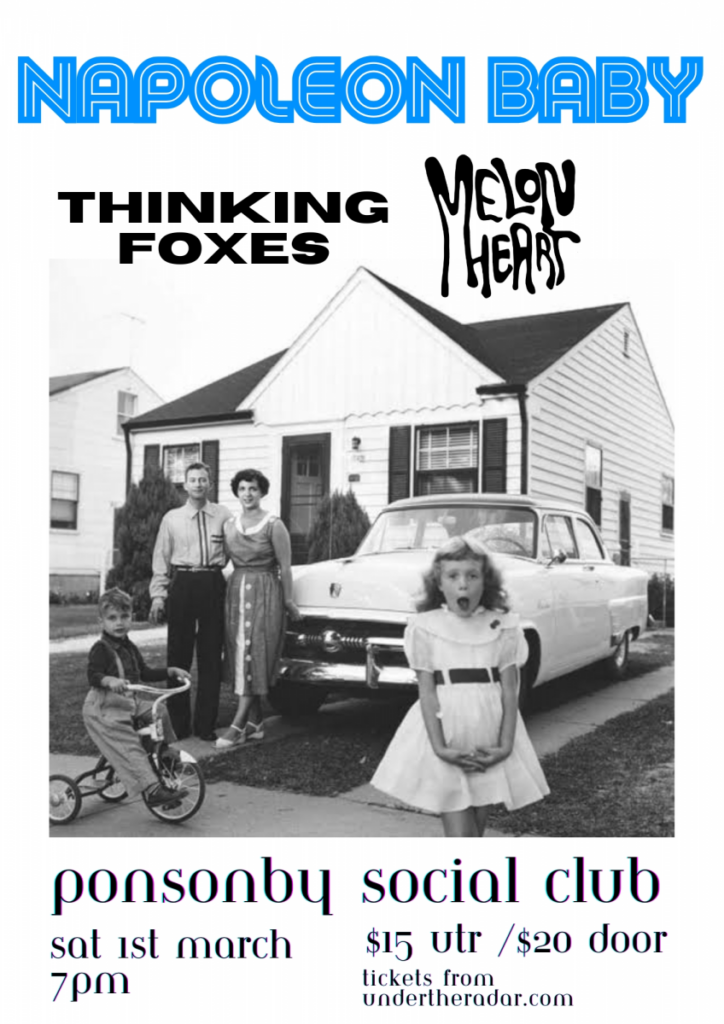 Napoleonbabyposter