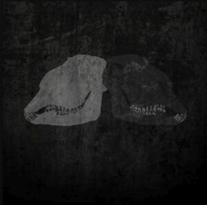 Single Review: Black Sheep 1