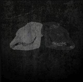 Single Review: Black Sheep 1