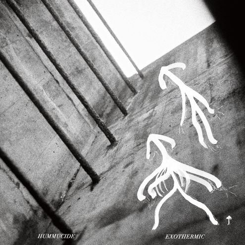 Single Review: Exothermic Feat. Luca Sturny 1