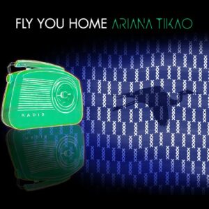 Single Review: Fly You Home 1