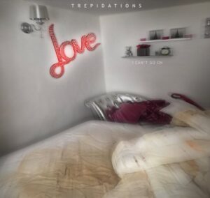 Single Review: I Can't Go On 1