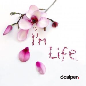 Single Review: I'm Life Feat Nawazish Ali Khan 1