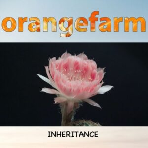Single Review: Inheritance 1