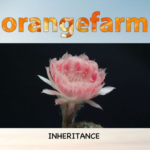 Single Review: Inheritance 1