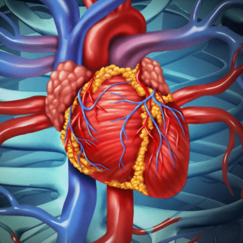 Single Review: Internal Fix 1