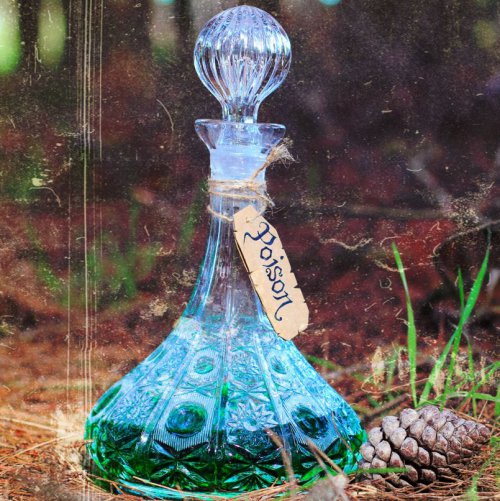 Single Review: Poison 1