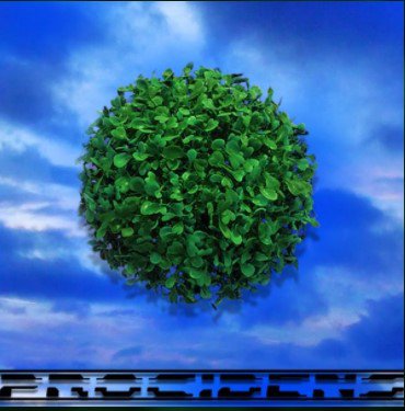 Single Review: Procidens 1