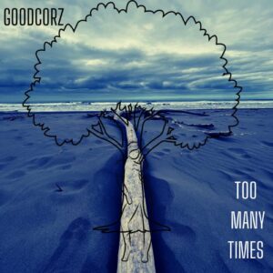 Single Review: Too Many Times 1