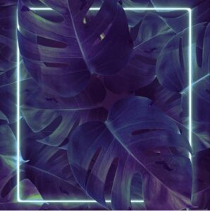 Single Review: Vines (dear Will Remix) 1