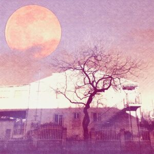 Single Review: Young Guest Feat. Lucie Hill 1