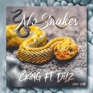 Single/video Review: No Snakes Feat. Dilz 1