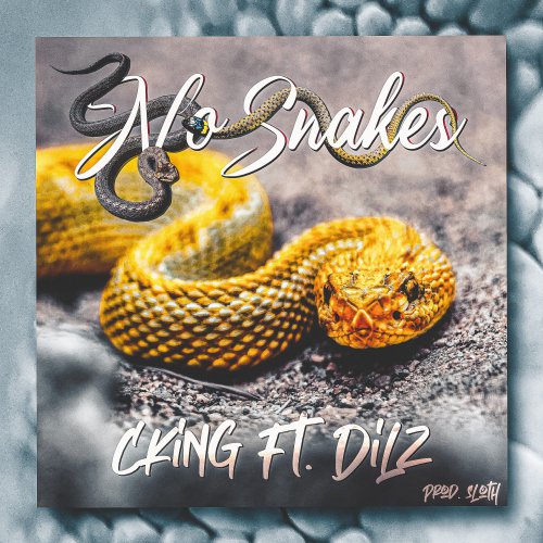 Single/video Review: No Snakes Feat. Dilz 1